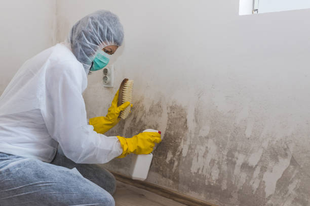 Best Air Quality Testing for Mold Spores  in Chaparral, NM
