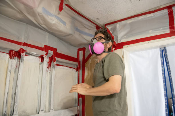 Best Emergency Mold Remediation  in Chaparral, NM
