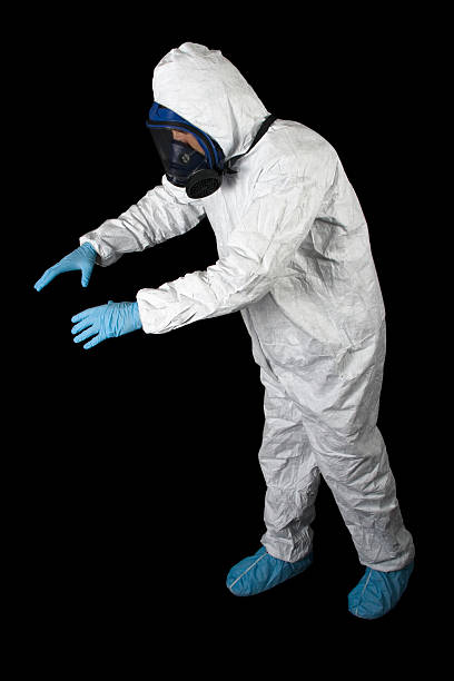 Best Environmental Consulting for Mold Prevention  in Chaparral, NM